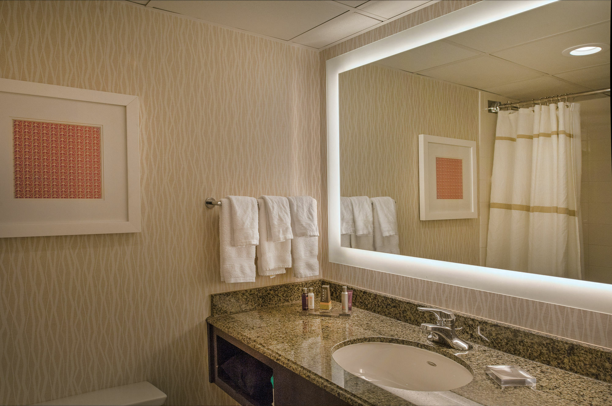 Hotel Marriott St. Louis Airport Edmundson Exterior foto